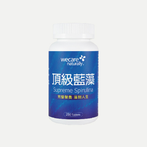 顶级蓝藻锭